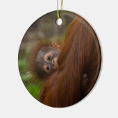 Orangutan Baby met een peek Keramisch Ornament (Links)