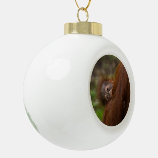Orangutan Baby met een peek Keramische Bal Ornament (Links)