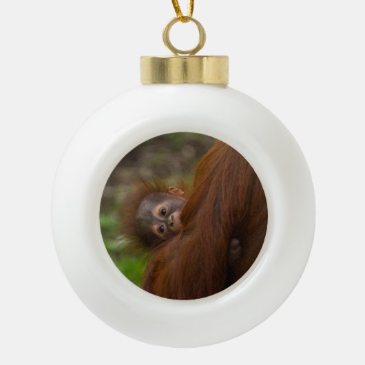Orangutan Baby met een peek Keramische Bal Ornament (Voorkant)