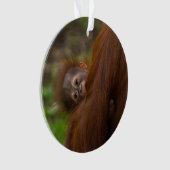 Orangutan Baby met een peek Ornament (voorkant)