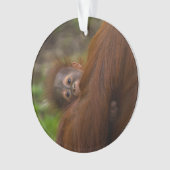 Orangutan Baby met een peek Ornament (voorkant)