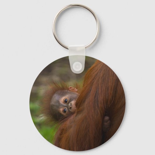 Orangutan Baby met een peek Sleutelhanger (Voorkant)