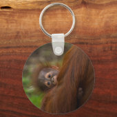 Orangutan Baby met een peek Sleutelhanger (Voorkant)