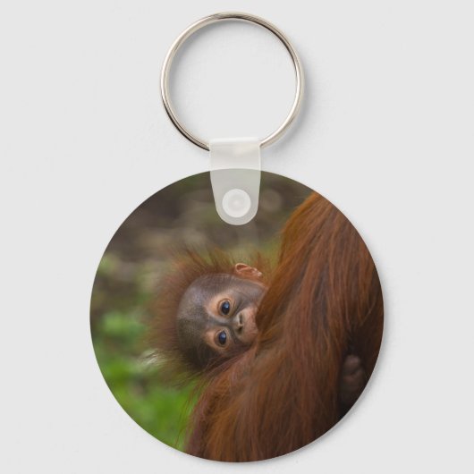 Orangutan Baby met een peek Sleutelhanger (Voorkant)