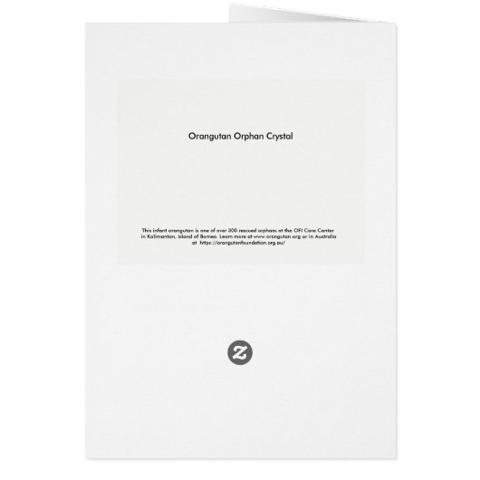 Orangutan Baby Orphan Crystal (Achterkant)