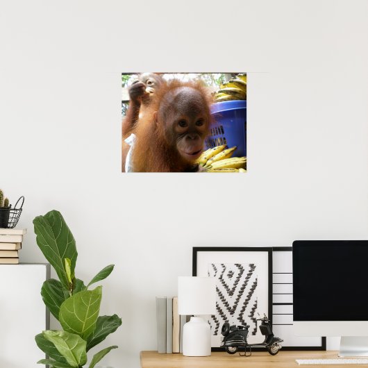 Orangutan Baby Poster (Thuiskantoor)