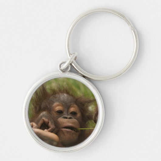 Orangutan Baby Sleutelhanger (Voorkant)