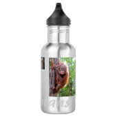 Orangutan Baby Uttuh bij OFI Waterfles (Rechts)