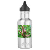 Orangutan Baby Uttuh bij OFI Waterfles (Links)