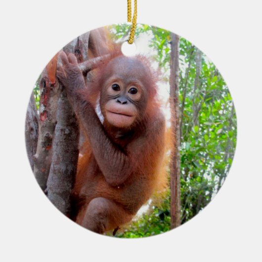 Orangutan Baby Uttuh Keramisch Ornament (Voorkant)