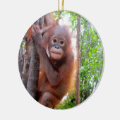 Orangutan Baby Uttuh Keramisch Ornament (Links)