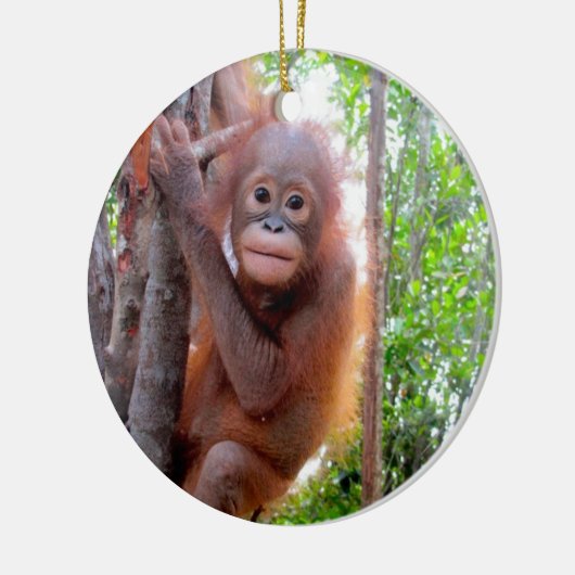 Orangutan Baby Uttuh Keramisch Ornament (Links)