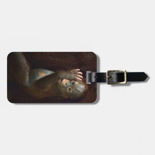 Orangutan Bagagelabel (Voorkant horizontaal)