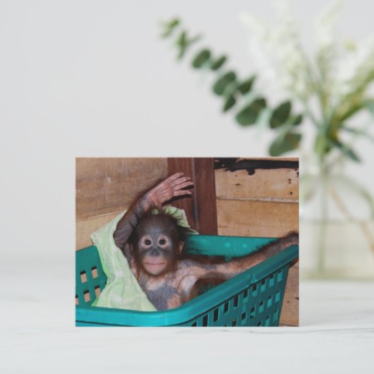 Orangutan bij het Sanctuary Briefkaart (Staand voorkant)