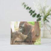 Orangutan Borstvoeding Briefkaart (Staand voorkant)