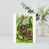 Orangutan Briefkaart (Staand voorkant)