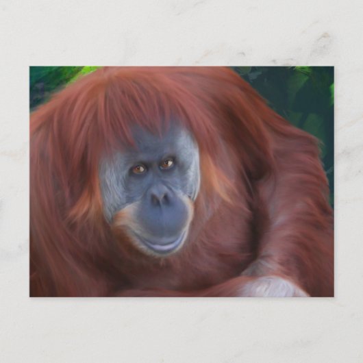 Orangutan Briefkaart (Voorkant)