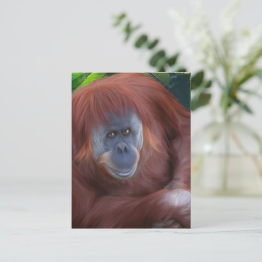 Orangutan Briefkaart (Staand voorkant)