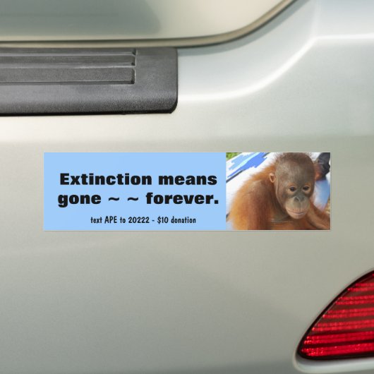 Orangutan Bumpersticker (Op auto)