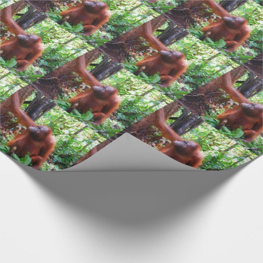 Orangutan Cadeaupapier (Hoek)