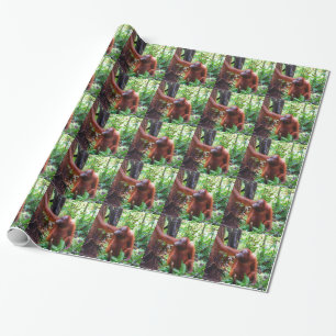 Orangutan Cadeaupapier