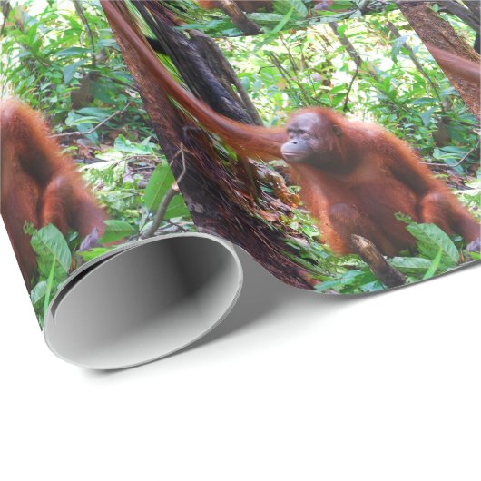 Orangutan Cadeaupapier (Rol Hoek)