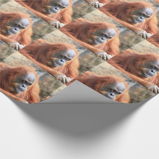 Orangutan Cadeaupapier (Hoek)