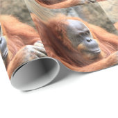 Orangutan Cadeaupapier (Rol Hoek)
