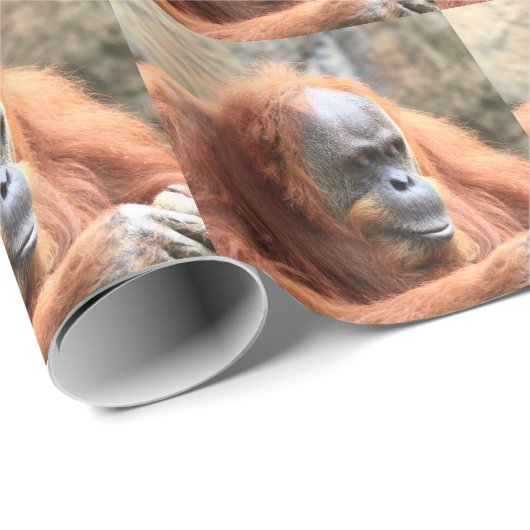 Orangutan Cadeaupapier (Rol Hoek)