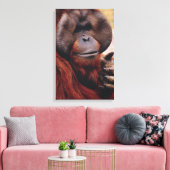 Orangutan Canvas Afdruk (Insitu (Woonkamer))