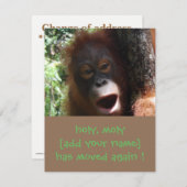 Orangutan Change of Address Aankondiging (Voorkant / Achterkant)