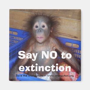 Orangutan Conservation Magneet