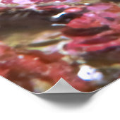 Orangutan Crab Poster (Hoek)