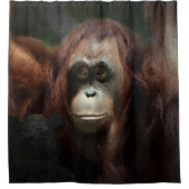 Orangutan Douchegordijn (Voorkant)
