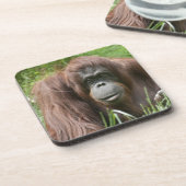 Orangutan Drankjes Onderzetter (Linkerzijde)