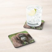 Orangutan Drankjes Onderzetter (Rechterzijde)