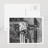 Orangutan en Boy op de foto van de Nationale Zoo Briefkaart (Voorkant / Achterkant)