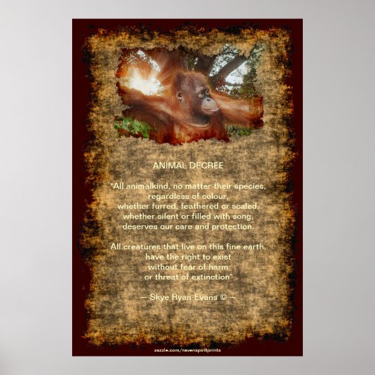 Orangutan Endangerey Wildlife Animal Decreet Poste Poster (Voorkant)