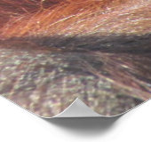 Orangutan Eyes Poster (Hoek)