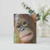 Orangutan Face Briefkaart (Staand voorkant)