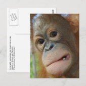 Orangutan Face Briefkaart (Voorkant / Achterkant)