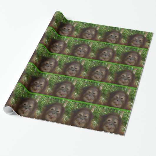 Orangutan Face Cadeaupapier (Uitgerold)