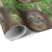 Orangutan Face Cadeaupapier (Rol Hoek)