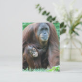 Orangutan Family Briefkaart (Staand voorkant)