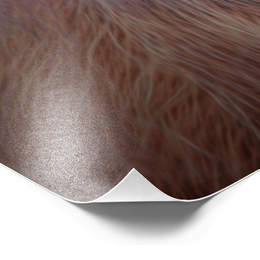 Orangutan Foto Afdruk (Hoek)