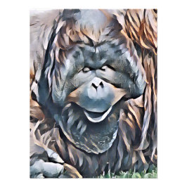 ORANGUTAN FOTO AFDRUK