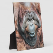ORANGUTAN FOTOPLAAT (Zijkant)