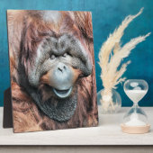 ORANGUTAN FOTOPLAAT (Zijkant)