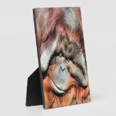 ORANGUTAN FOTOPLAAT (Zijkant)