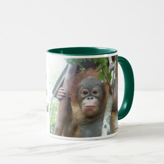 Orangutan Foundation International redde wees Mok (Voorkant rechts)